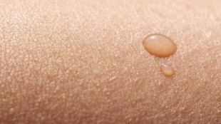 Investigadores logran regenerar la piel de un adulto para minimizar las cicatrices