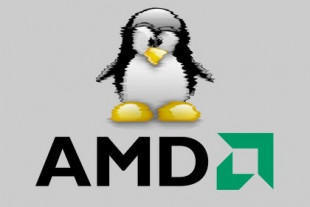 Linux: los drivers gráficos de AMD Radeon representan más del 10% de todo el kernel