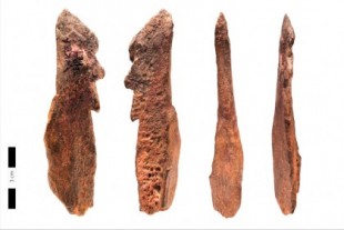 Descubren en la Garganta de Olduvai (Tanzania) una punta de hueso dentada elaborada por Homo Erectus