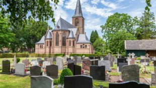 Cangrejos mutantes autoclonados escapados de programas de reproducción experimental invaden un cementerio belga [ENG]
