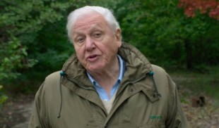 Las 7 medidas del legendario David Attenborough que detendrían el cambio climático en solo unas décadas