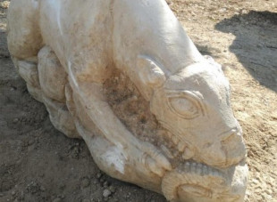 Vaquerizo sobre la leona íbera de La Rambla: «Parece el remate de un monumento funerario ibérico de enorme relevancia»