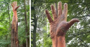 Un artista transforma un árbol dañado por un rayo en una mano gigante (en)