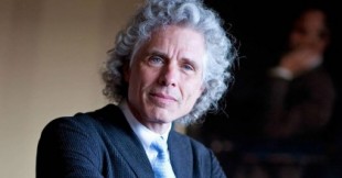 Steven Pinker: “La izquierda está tan presa de la corrección política que mucha gente reaccionó en contra"