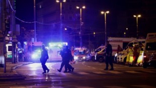Kurz: Los criminales que abrieron fuego en Viena están muy bien armados