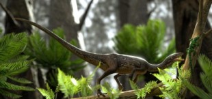 Reconstruyen el primer cerebro completo de uno de los dinosaurios más antiguos (Pt)