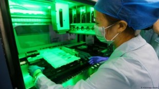 Miles de contagiados por brucelosis tras la fuga de una bacteria de un laboratorio chino