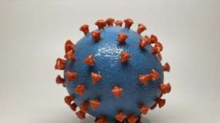 Una variante más contagiosa del coronavirus eliminó a sus rivales al inicio de la pandemia en España