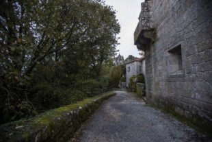 Paralizada la tala de árboles en el monasterio rupestre de la Ribeira Sacra