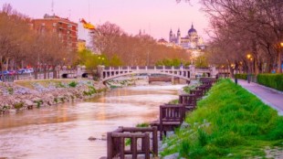 El agua en libertad trae la vida al madrileño río Manzanares