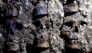Arqueólogos mexicanos descubren 119 cráneos humanos en una torre azteca