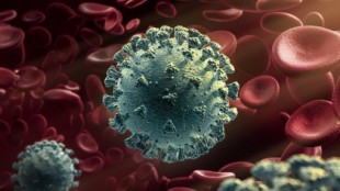 ¿Qué sabemos de la nueva variante británica del Coronavirus (ing)?