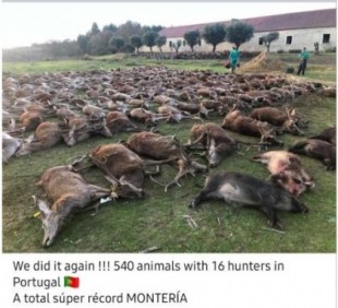Investigan la muerte de 540 animales en una montería cerca de Lisboa
