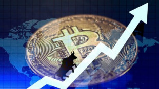 Bitcoin abre el 2021 con nuevo precio de 30.000 dólares