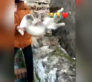 Maltrato animal: Una joven de Granada arroja a una gata por un barranco y sube un vídeo burlándose