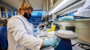 Estados Unidos detecta dos nuevas cepas del coronavirus aún más contagiosas; reunión urgente de la OMS