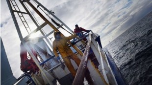 Pescadores escoceses 'navegan a Dinamarca para descargar la captura' (Ing.)