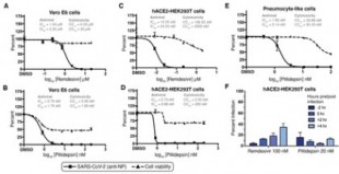 La plitidepsina alcanza una potente eficacia preclínica contra SARS-CoV-2 atacando a la proteína eEF1A [ING]