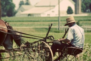 Tecnología Amish: cómo es ser el "late adopter" más lento del mundo