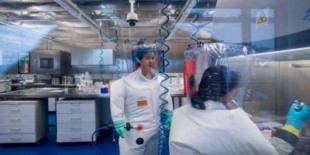 La OMS califica de «poco creíble» la tesis de que el coronavirus se escapó de un laboratorio