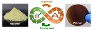 Molécula de la naturaleza proporciona polímeros totalmente reciclables. [ENG]