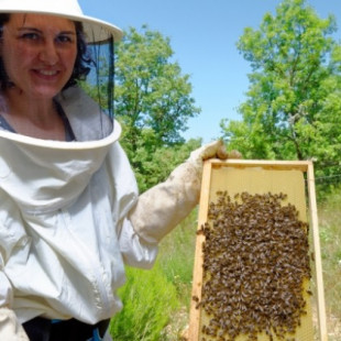 La Universidad de León indica que la miel podría ser útil para luchar contra las bacterias resistentes