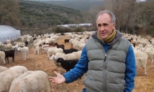 Ganaderos riojanos: "«Ante el lobo, el pastoreo es la solución, no la caza"