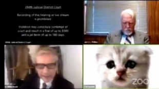 "No soy un gato": un filtro juega una mala pasada a un abogado en un juicio online