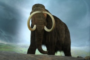 El misterioso caso del chuletón de mamut