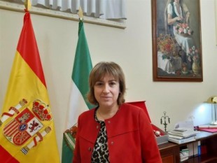 Delegada del Gobierno pide calma a la ciudadanía de Linares y valora el "magnífico servicio" del CNP