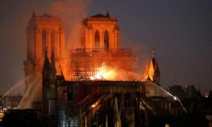 Francia busca unos 1.000 robles centenarios para restaurar la aguja de Notre Dame (EN)