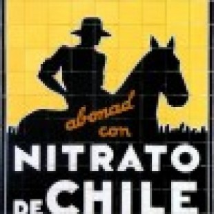 Nitrato de Chile: la tercera silueta
