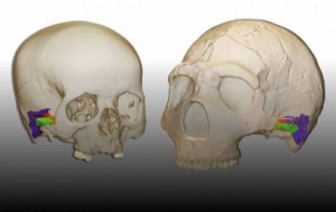 Los neandertales pudieron oír y hablar como nosotros