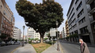 La Junta de Andalucía refuerza Salud Mental y crea un plan para el abordaje del suicidio