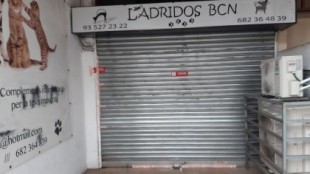 El Ayuntamiento de Barcelona cierra la tienda Ladridos, donde se localizaron cachorros de perro muertos