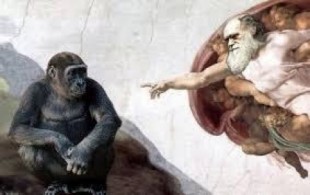 Esto es lo que pasa cuando un lego religioso “debate” con un científico
