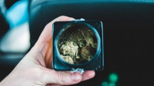 México despenaliza el uso lúdico de la marihuana, permite posesión de hasta 28 gramos para consumo personal y 6 plantas