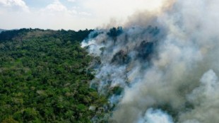 Impactantes hallazgos muestran que el Amazonas ya no es sumidero, sino emisor  (eng)
