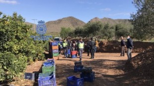 Trece detenidos en una operación contra la explotación laboral de extranjeros en Murcia