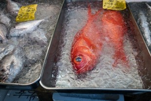 Fraude global con el pescado: casi un 40% de los productos están mal etiquetados