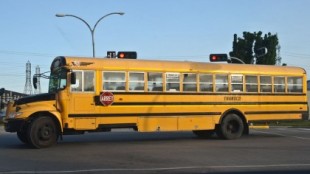 La sorprendente razón detrás de las líneas negras a los lados de los autobuses escolares