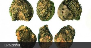 Los mineros de la Edad del Bronce se llevaban la comida preparada de casa: el curioso descubrimiento