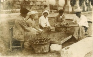 La Misión Biológica de Galicia, un laboratorio centenario