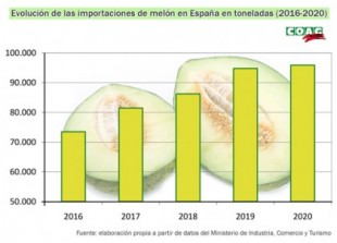 Carrefour vende melones de Brasil como si fueran españoles