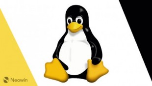 Linux prohíbe a la Universidad de Minnesota el envío de parches con errores en nombre de la investigación [inglés]
