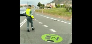 La Guardia Civil corta la N-232 en La Rioja para que cruce una familia de patos