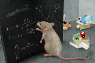 Los ratones dominan la abstracción y el pensamiento complejo