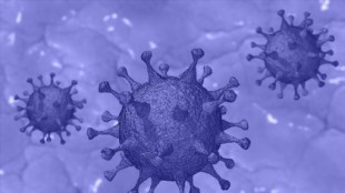 Mutación de escape en cepa de covid descubierta en Angola es capaz de eludir los anticuerpos contra el coronavirus [ENG]