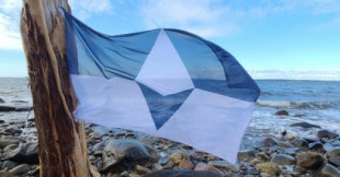La Antártida está cada vez más cerca de tener una bandera oficial: ¿con qué propuesta te quedas?