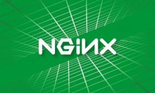 Nginx supera a Apache y se corona como el servidor web más popular